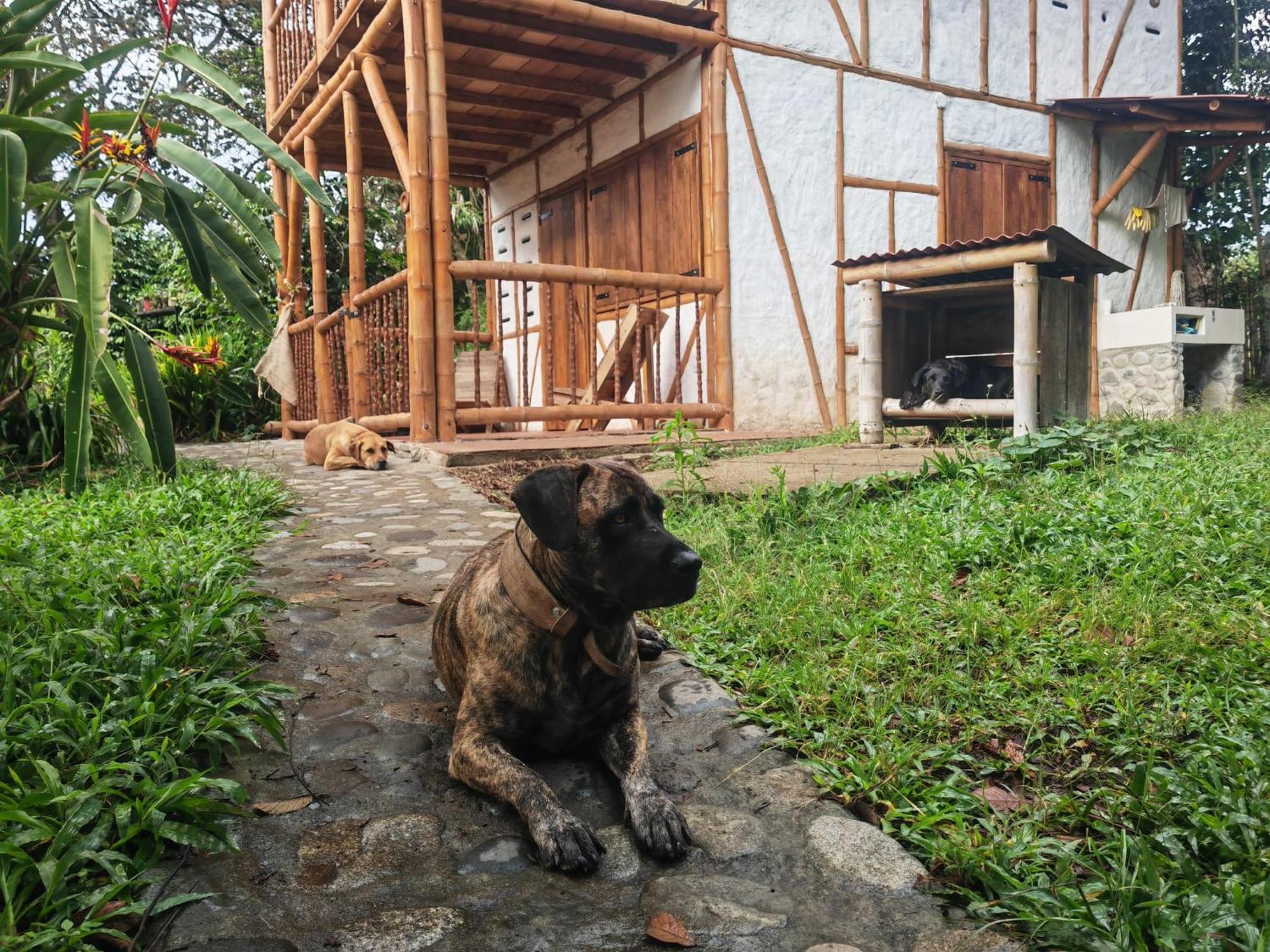 Casa Entera Finca Cometa San Agustín Екстериор снимка