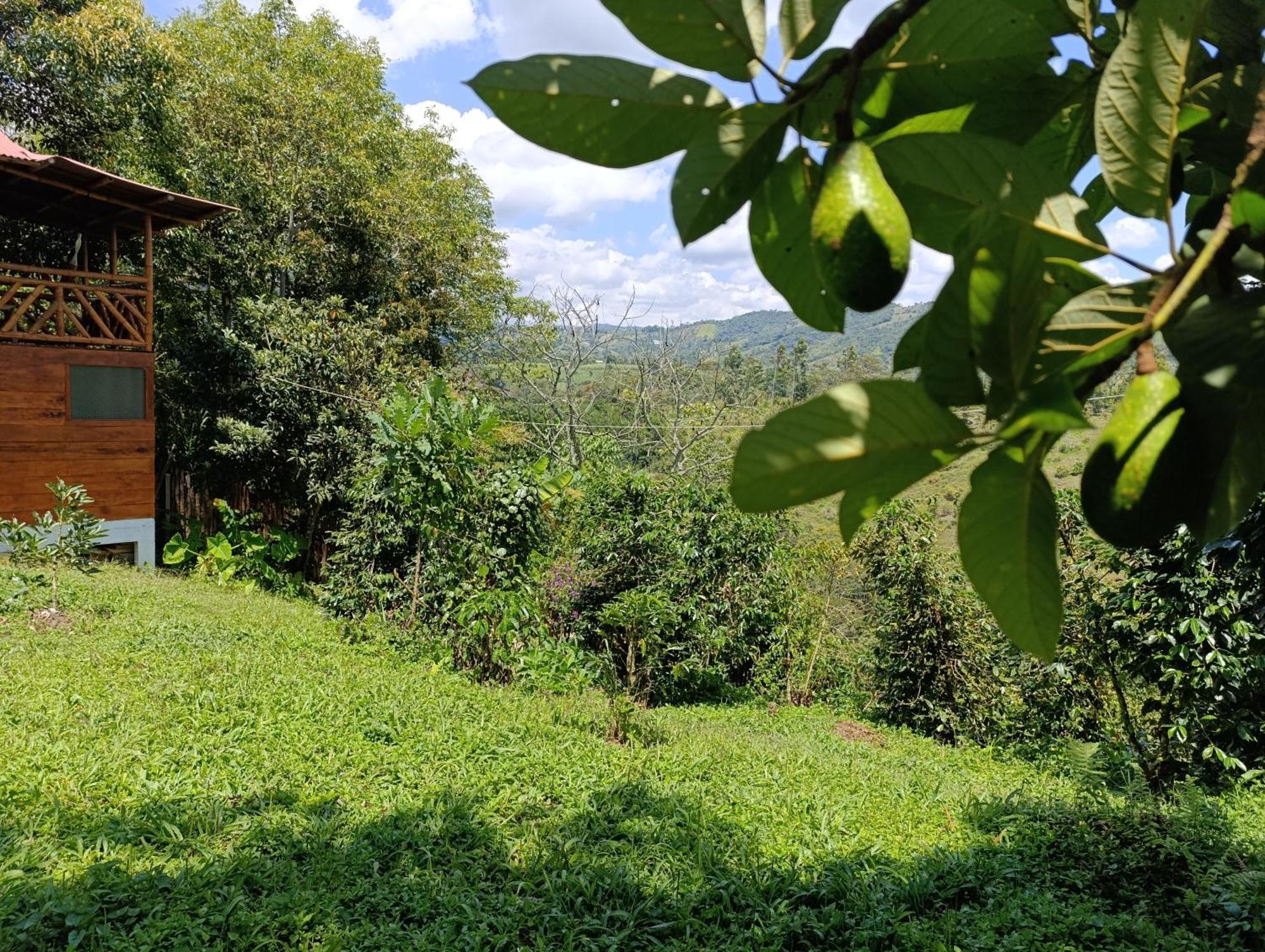 Casa Entera Finca Cometa San Agustín Екстериор снимка
