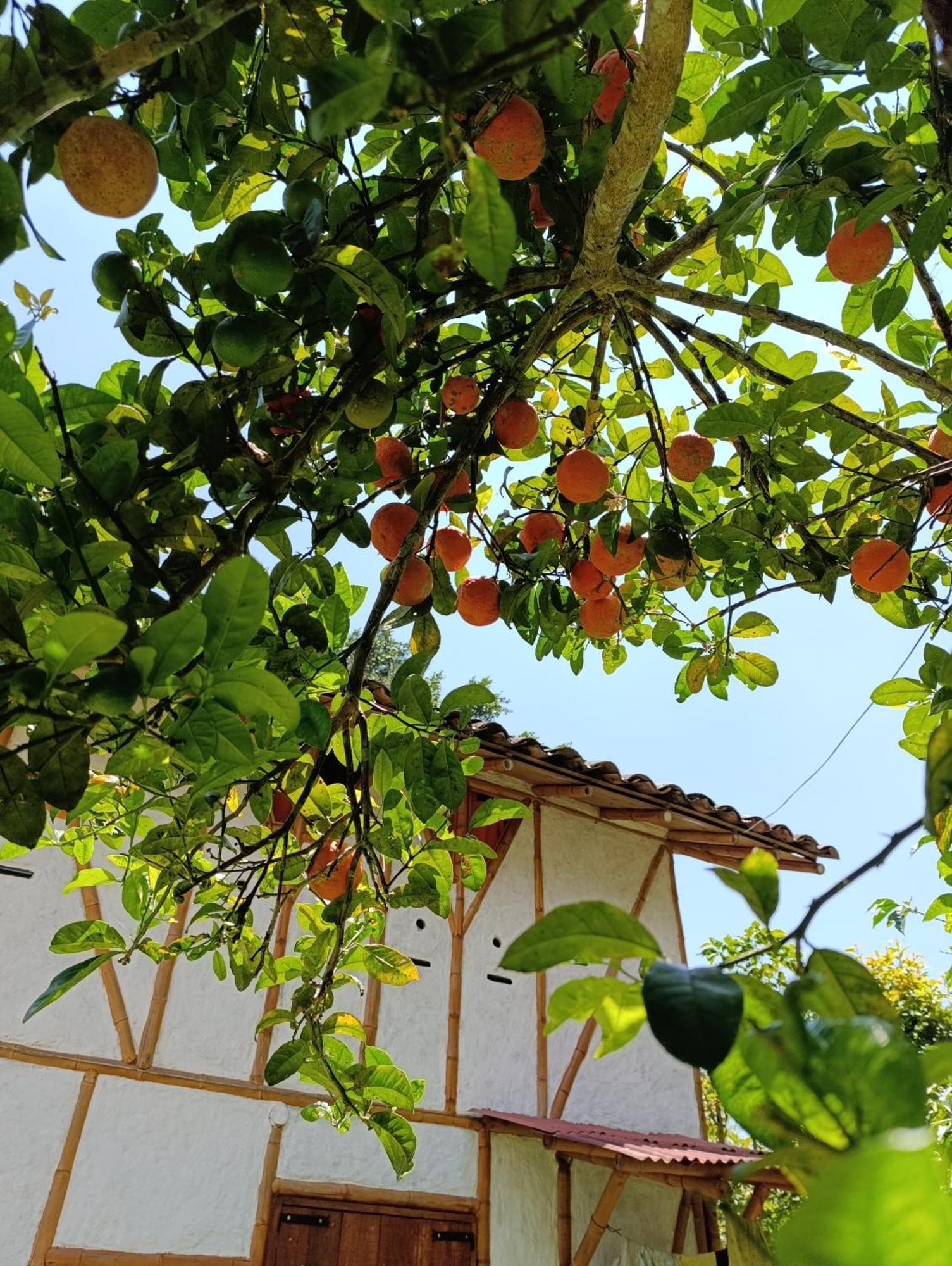 Casa Entera Finca Cometa San Agustín Екстериор снимка