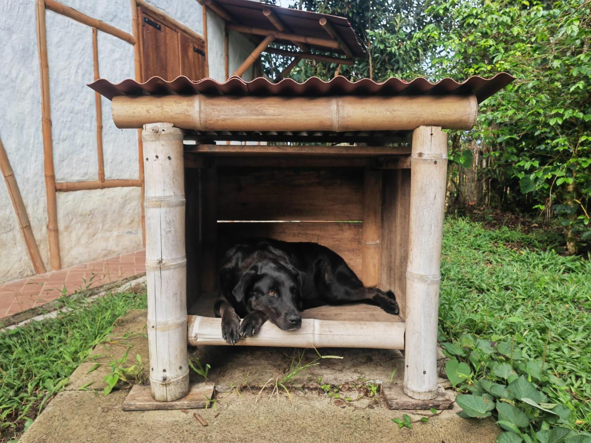 Casa Entera Finca Cometa San Agustín Екстериор снимка
