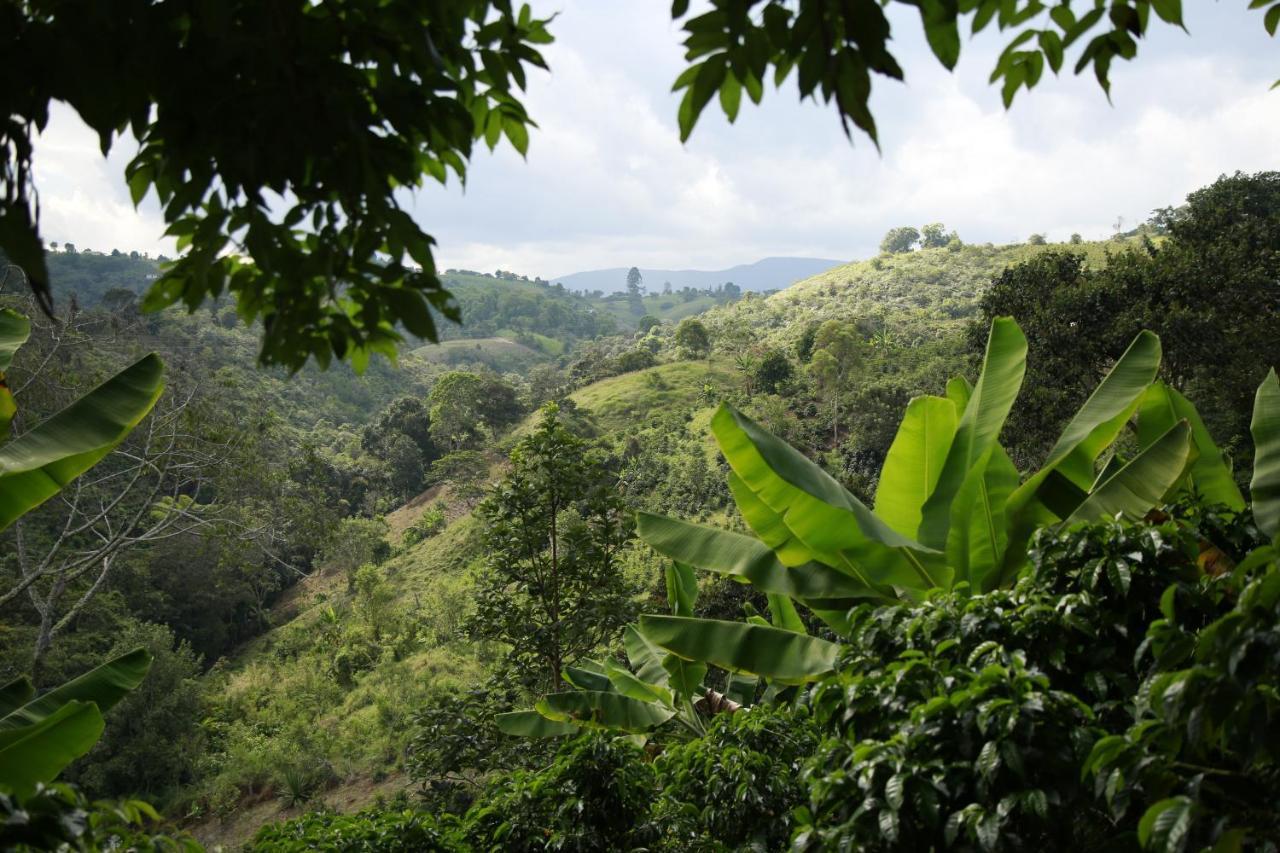 Casa Entera Finca Cometa San Agustín Екстериор снимка